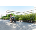 Britax%2FBritax_2012%2F_tx_4227